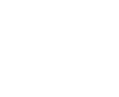 30 years established