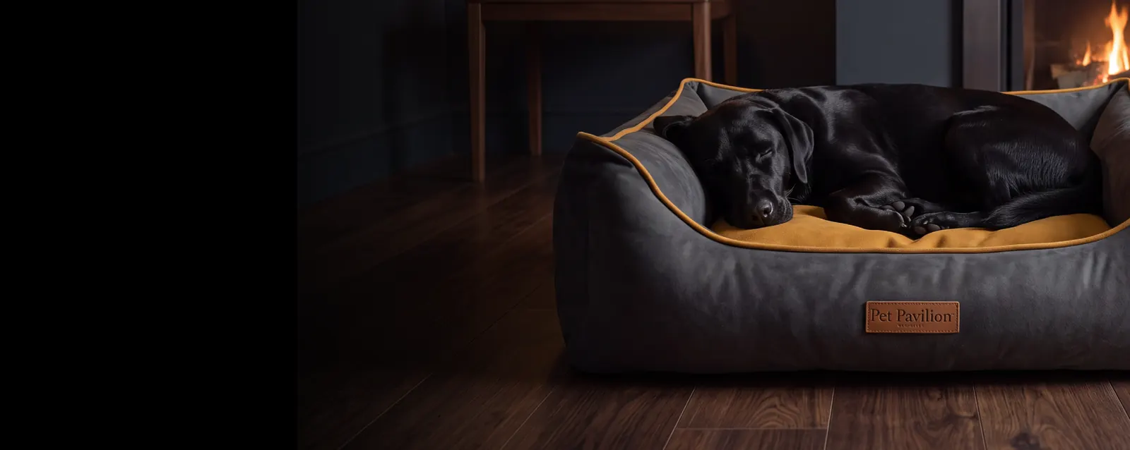 Black Labrador asleep in an In Residence Nest Bed