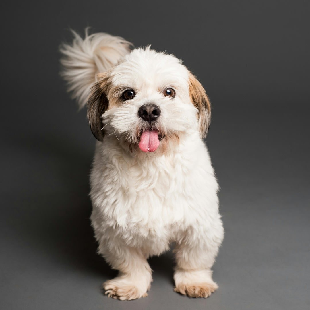 Transformation Day ✨