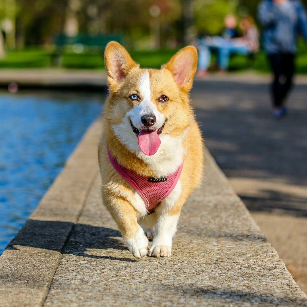 Everything under one roof 🏠