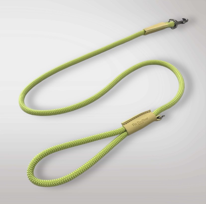 Italian Nylon Lead — Green & Yellow